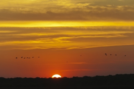 October - A Busy Time For Wildlife