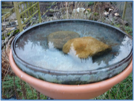 Water For The Garden Birds