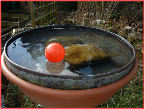 Water For The Garden Birds