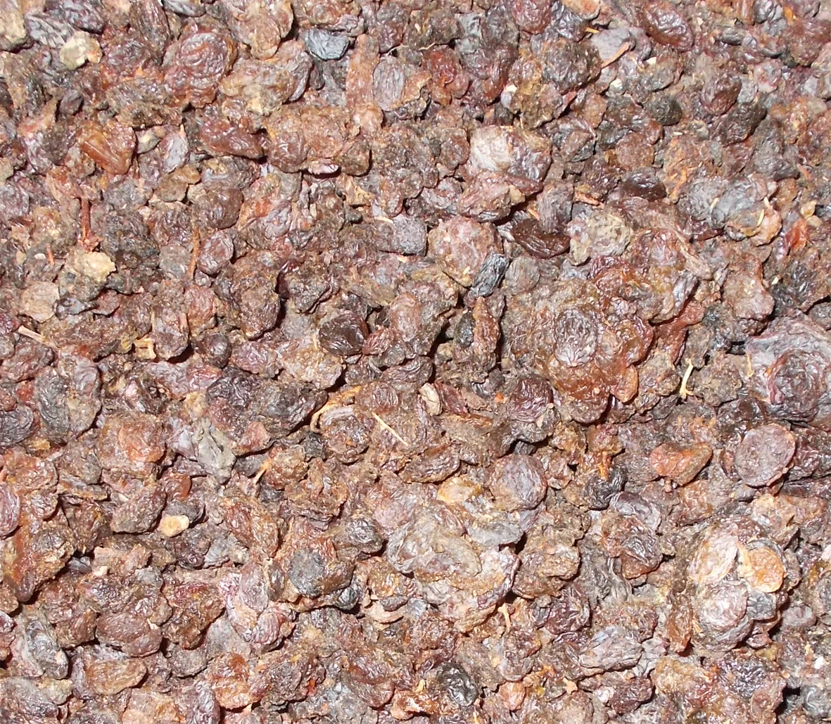 Raisins For Birds Twootz