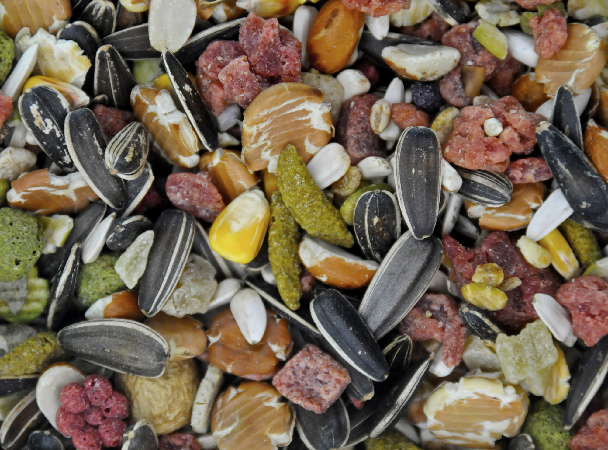 Parrot Food - Fruitti Parrot : Twootz.com