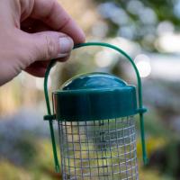 Natures Feast Peanut Feeder