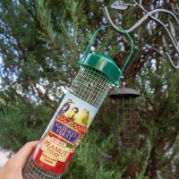 Natures Feast Peanut Feeder