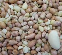 Twootz Mini Peanuts For Wild Birds