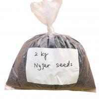 Niger Seeds 2kg Loose Packed