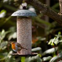 Peckish Complete Seed & Nut Mix