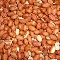 Premium Peanuts