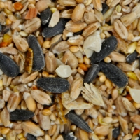 Seed Mixes