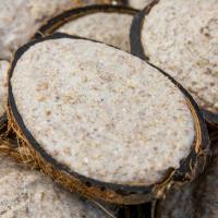 Suet Filled Coconut Halves Wild Birds
