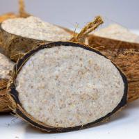 Suet Filled Coconut Halves Wild Birds