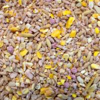 Robin No Mess Seed And Insect Mix