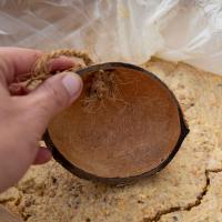 Peanut Butter with Coconut Halves