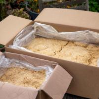 Peanut Butter with Coconut Halves