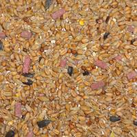 Wild Bird Original With Hi Energy Suet Pellets