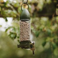 Peckish Sunflower Hearts Filled Feeder