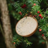 Peckish Complete EcoFeast Suet Feeder