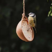 Peckish Complete EcoFeast Suet Feeder