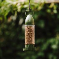 Peckish Mealworms Filled Feeder