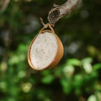 Gardman Coconut Feeder