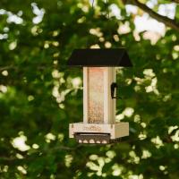 Peckish Woodland Feast Seed And Suet Cake Tower Feeder