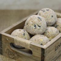 Peckish Complete Energy Balls