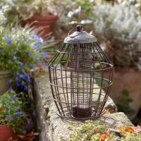 Peckish Secret Garden Squirrel Proof Peanut Feeder