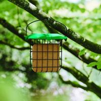 Gardman Squirrel Proof Suet Feast