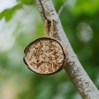 Gardman Supreme Coconut Feeder with Mealworms