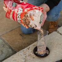 Peckish Winter Warmer Seed Mix