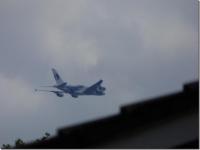 We are 16.6 miles from London Heathrow But this plane looks a bit low for comfort, this one is from Malaysia Airlines. All this and we have so much wild  life all a round us.