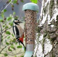 woodpecker back garden branton doncaster