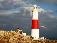 Crows @ Portland Bill